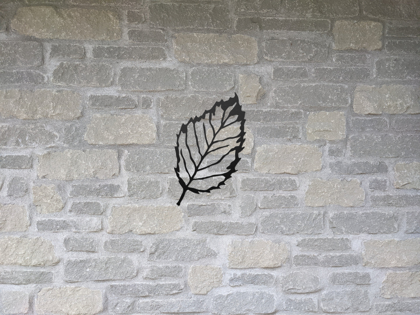 Beech Leaf