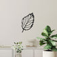 Beech Leaf