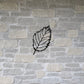 Beech Leaf