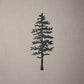 Evergreen Tree Red Pine, Metal Wall Art