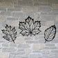 Leaf Set - Beech, Oak, Maple