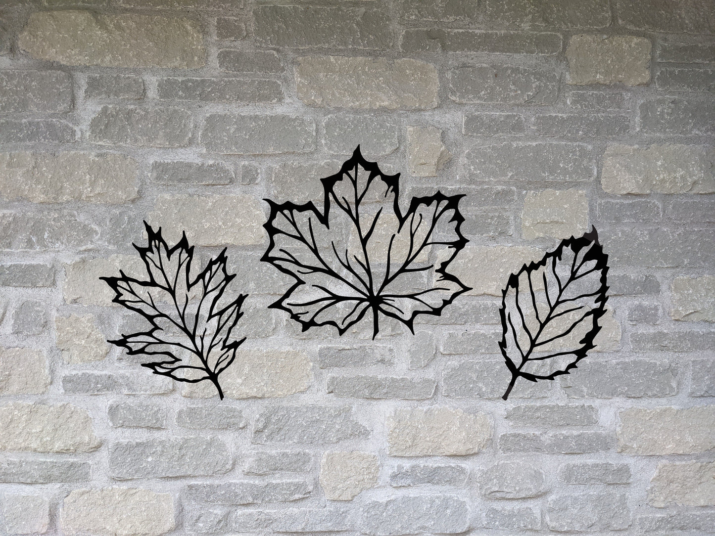Leaf Set - Beech, Oak, Maple