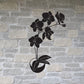 Orchids in Bloom